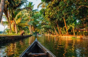 kerala-backwaters-canoe-istock