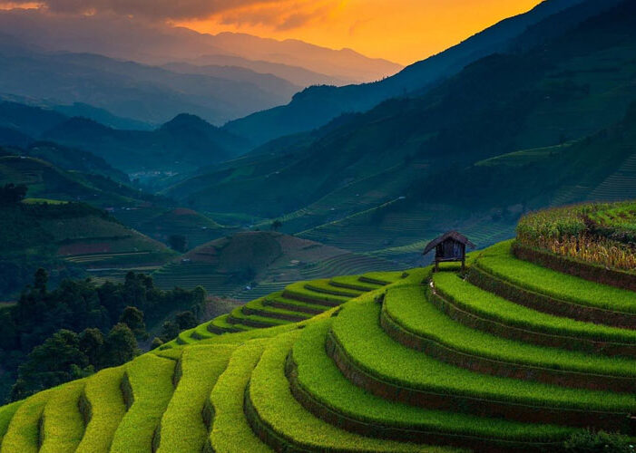 bdb743e2f27485ccd290b8ed10535947