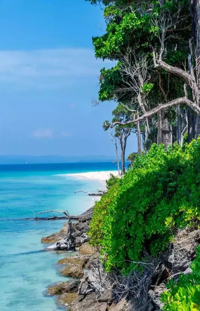 Best Travel Agency in Delhi