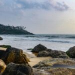 Travel agency in delhi